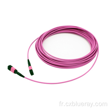 OM4 VIOLET OPTICE FIBRE PATCH CORD Câble Câble